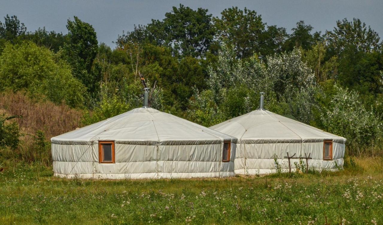 Antal-Tavi Fogado Es Horgaszparadicsom Szentes Εξωτερικό φωτογραφία